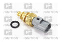 Oval Coolant Temperature Sensor - XEMS100