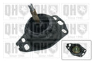 QH Engine Mounting - EM3143