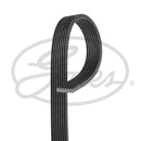 Gates FleetRunner Micro-V Belt - 8DPK1453HD