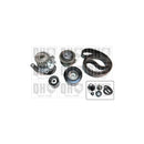QH QBPK6953 Timing Kit & Water Pump
