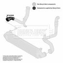 Borg & Beck Turbo Hose Part No -BTH1559
