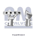 BM Cats Approved Petrol Cat - BM91767H