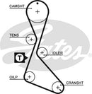 Gates PowerGrip Belt - 5130XS