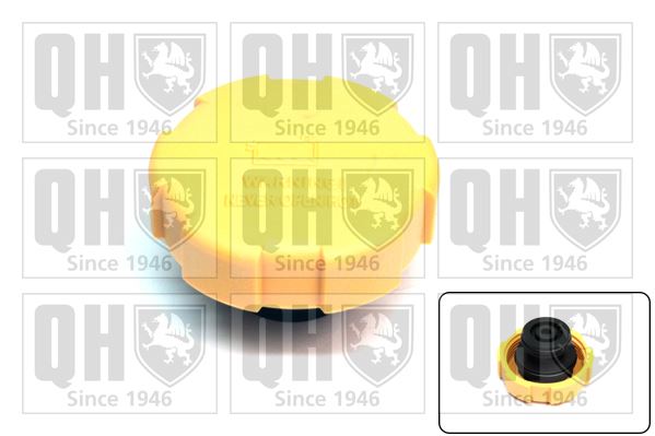 QH Plastic Bolted Filler Expansion Tank Cap - FC525