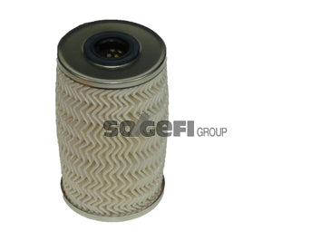 Fram Fuel Filter - C9817ECO