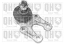 Quinton Hazell Ball Joint Front Lower - QSJ1243S